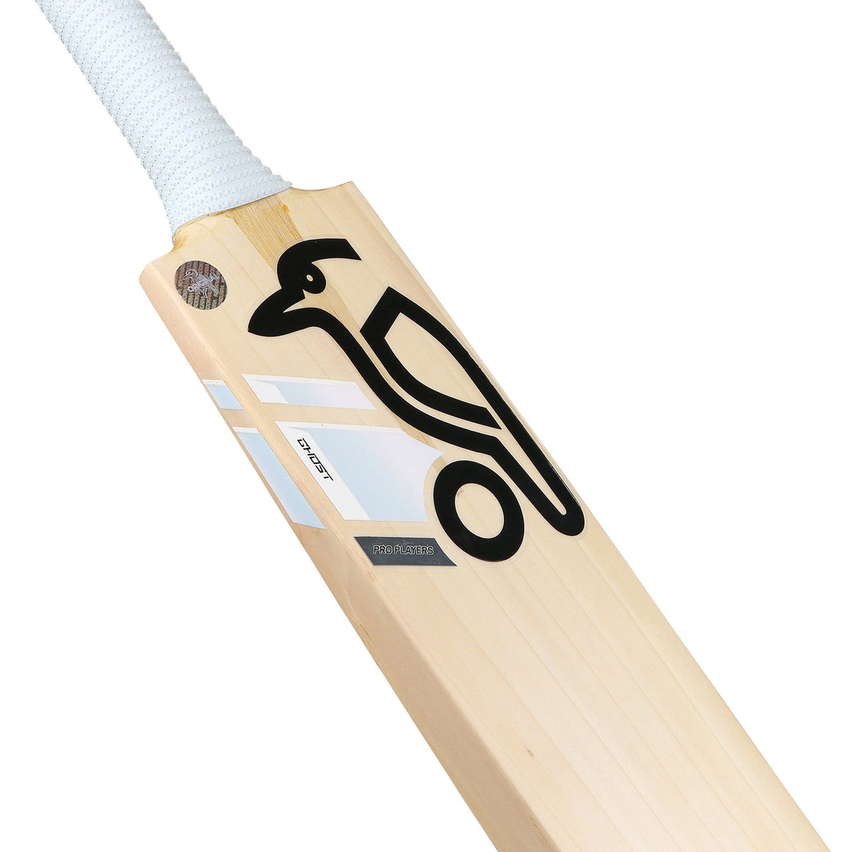 Cricket Bat Ghost Phoebe Litchfield