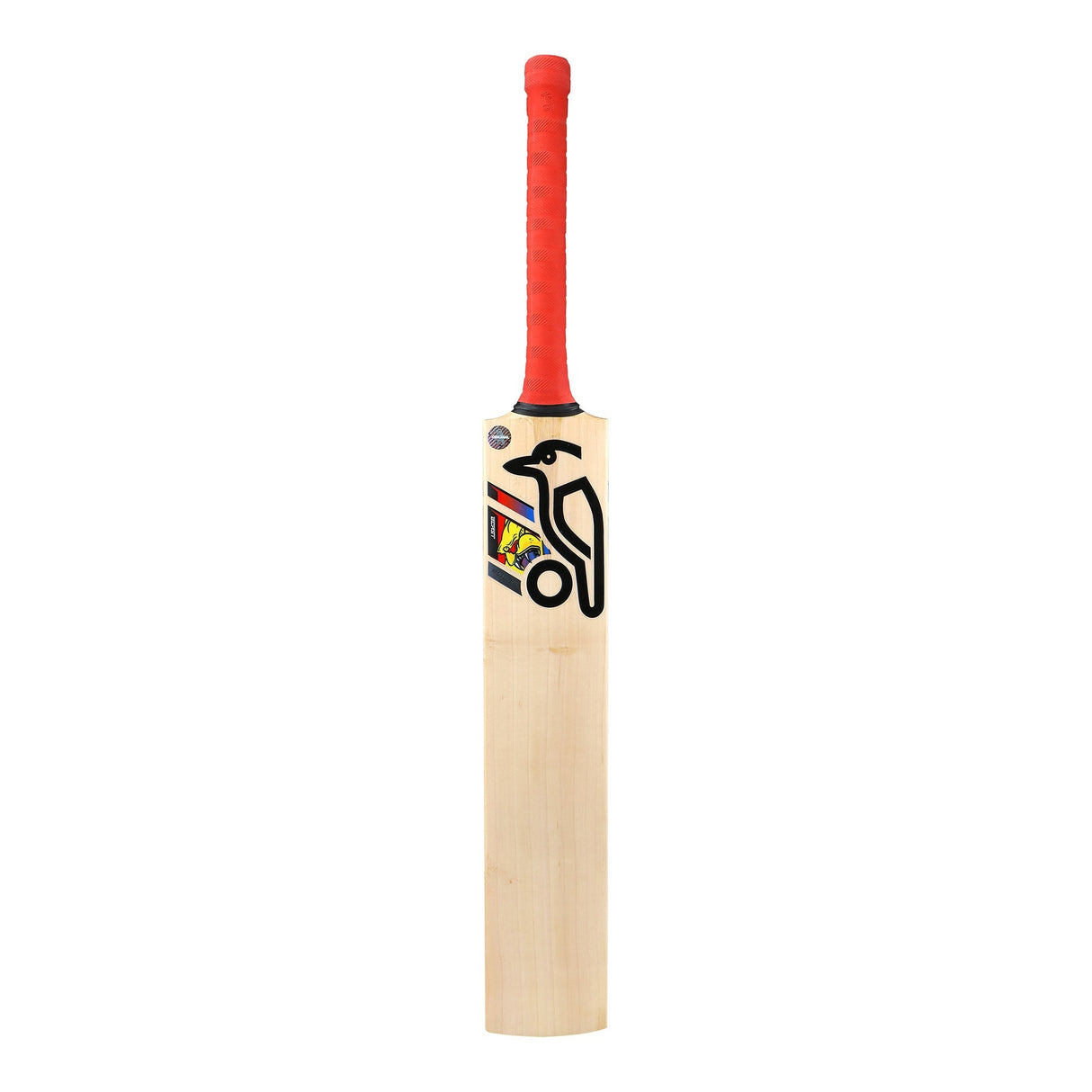 English Willow Cricket Bat - Beast Pro Players