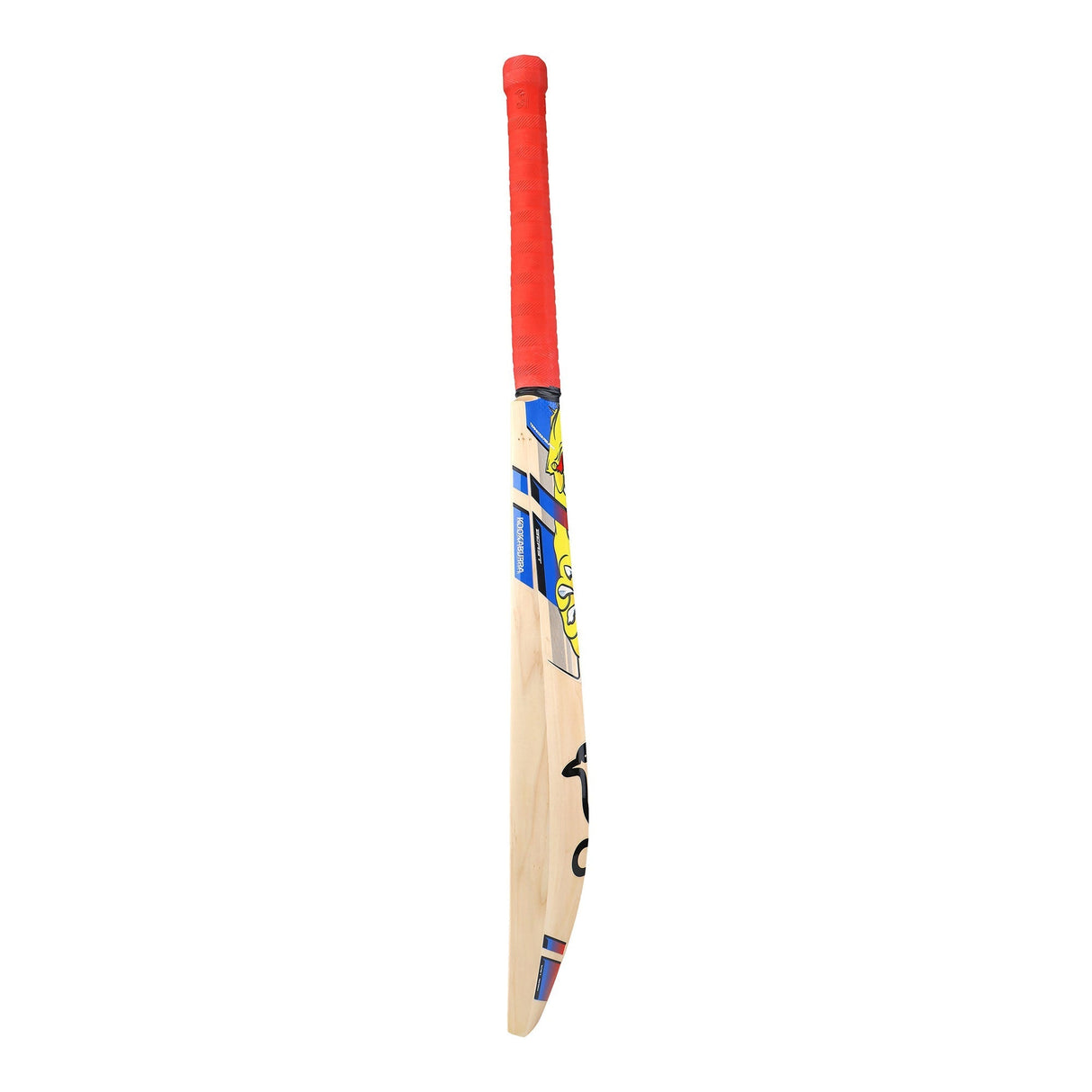 English Willow Cricket Bat - Beast Pro Players