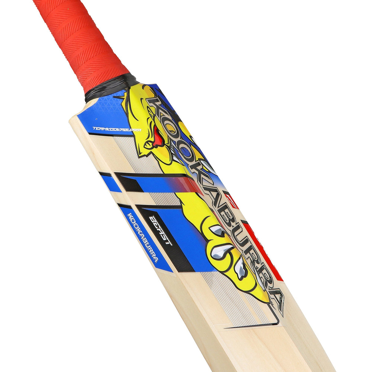 English Willow Cricket Bat - Beast Pro 4.0