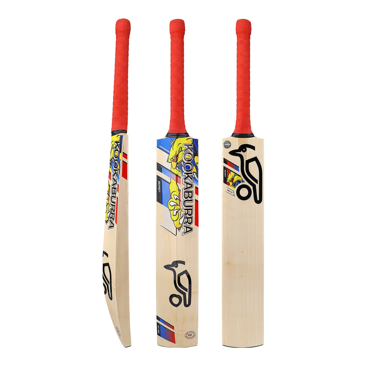 English Willow Cricket Bat - Beast Pro 4.0