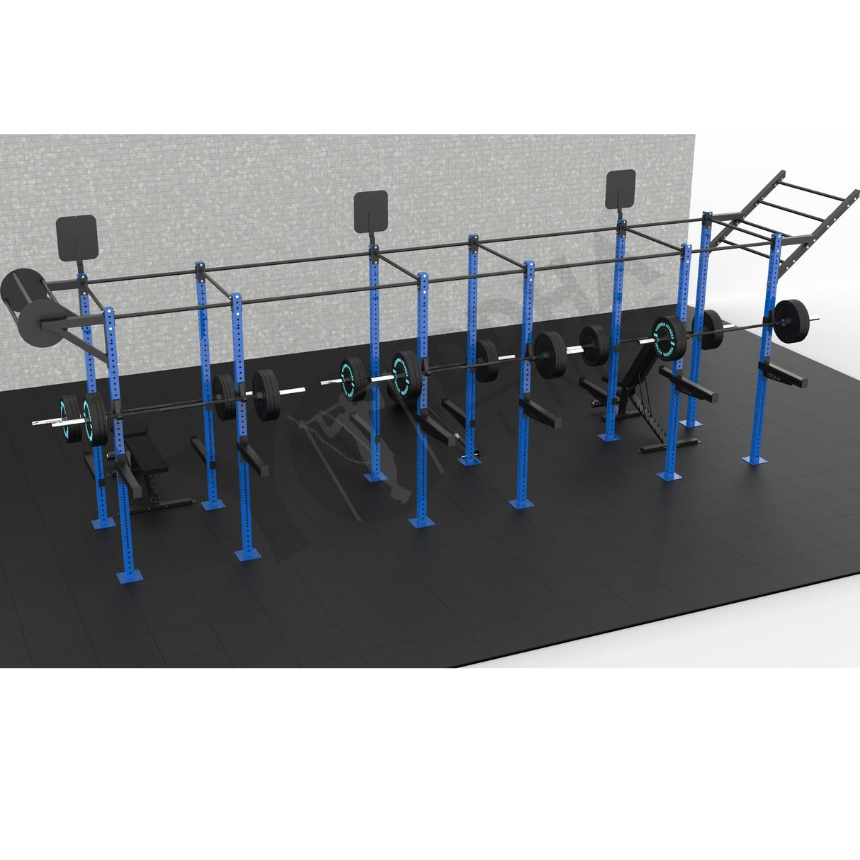 Freestanding CrossFit Rig - 24 Ft