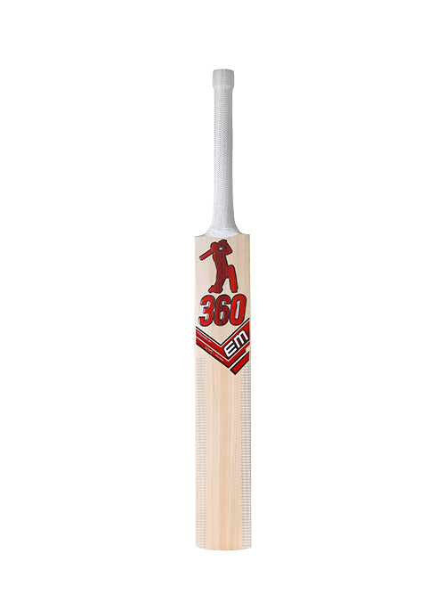 360 Bold Kashmir Willow