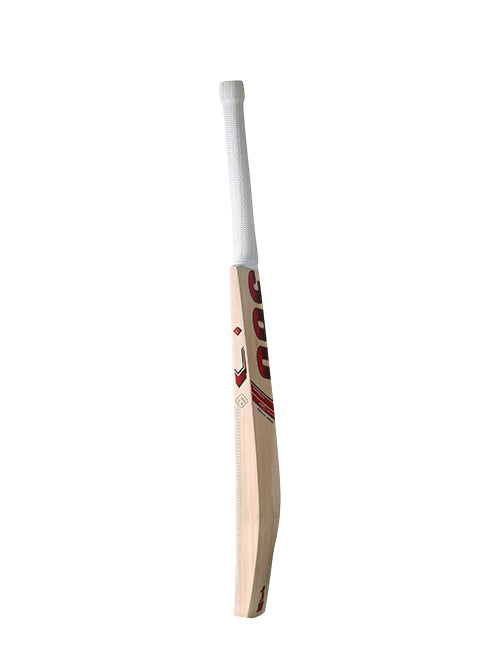 360 Bold Kashmir Willow