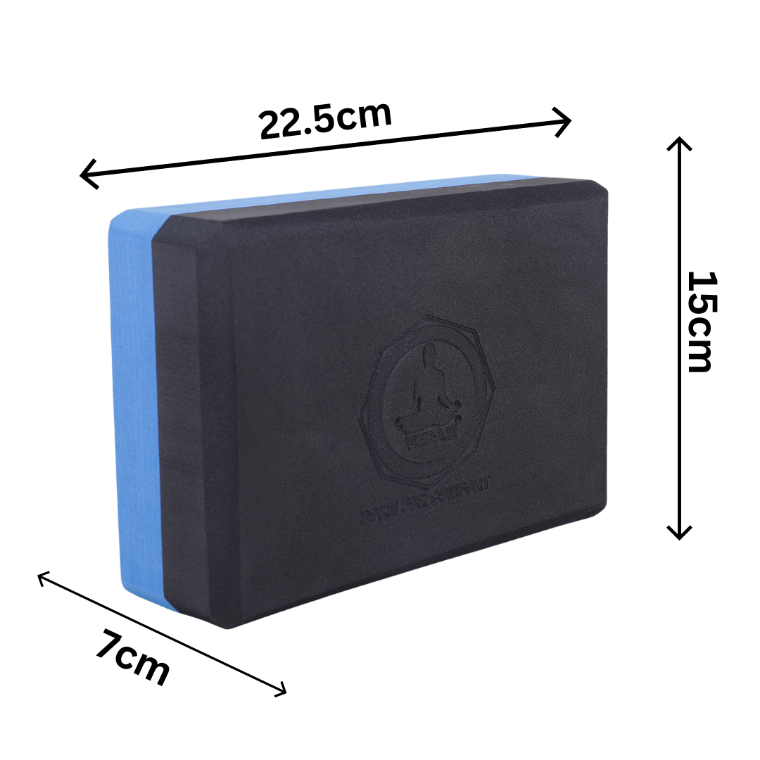 Vedam Yoga Block Set of 2 (Black/Blue)