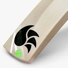 Alex Hales Cricket Bat