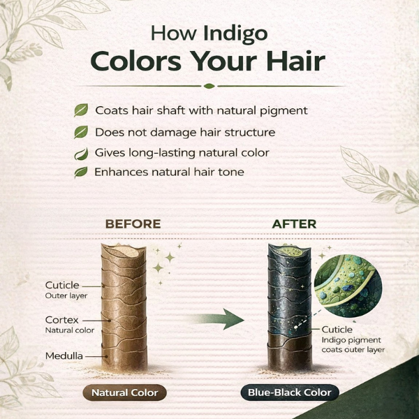 Natural Organic Indigo Powder – Chemical-Free Hair Coloring for Black & Dark Shades