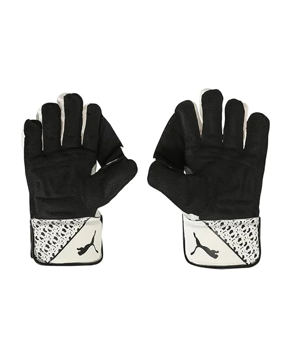 PUMA Future 3 Wicketkeeper Gloves