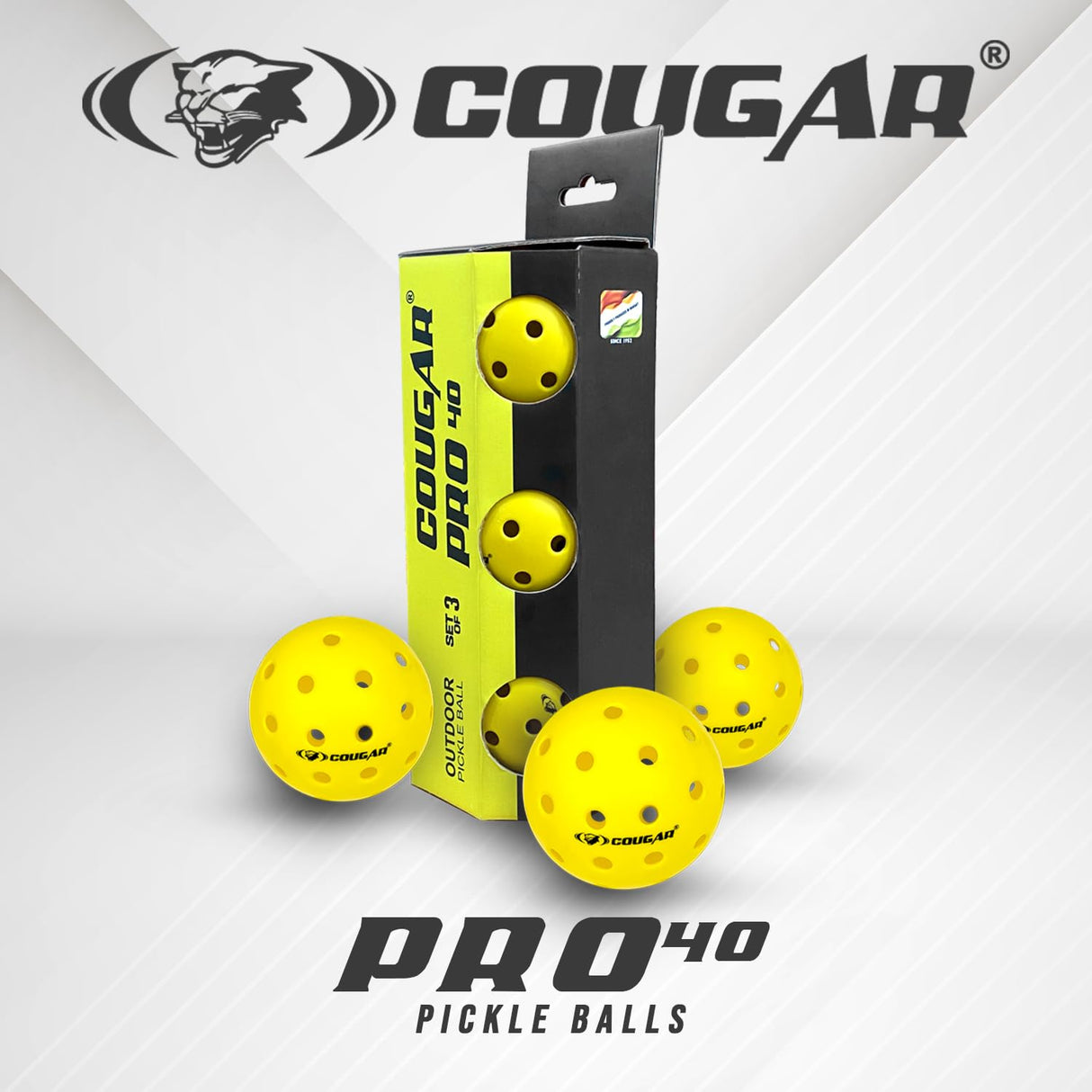 PRO 40 PICKLE BALL