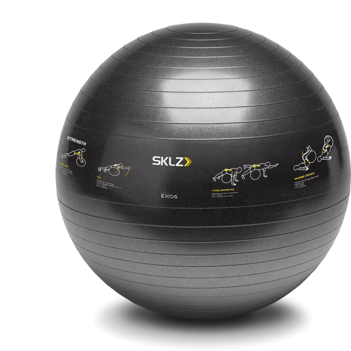 TRAINER BALL