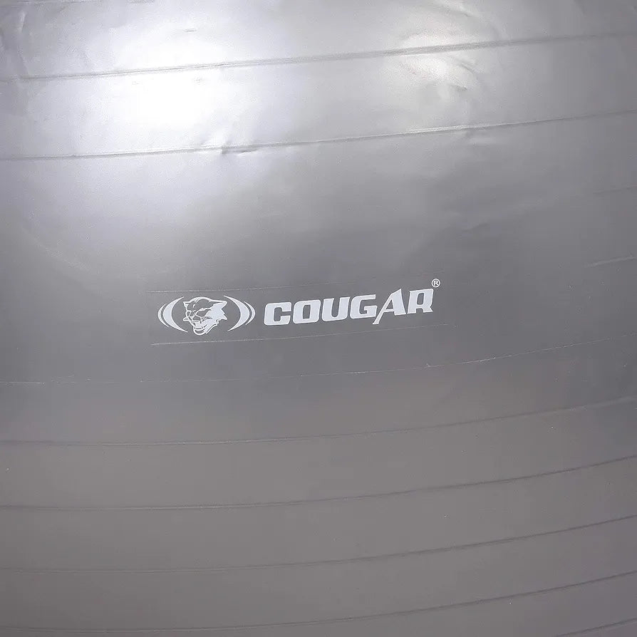 Cougar Anti Burst Gym Ball/ Swiss Birthing Stability Ball for Workout & Fitness/ Yoga Ball with Foot Pump for Men/Women, 65-cm