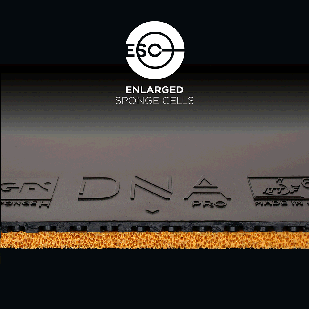 Cosco DNA PRO-M