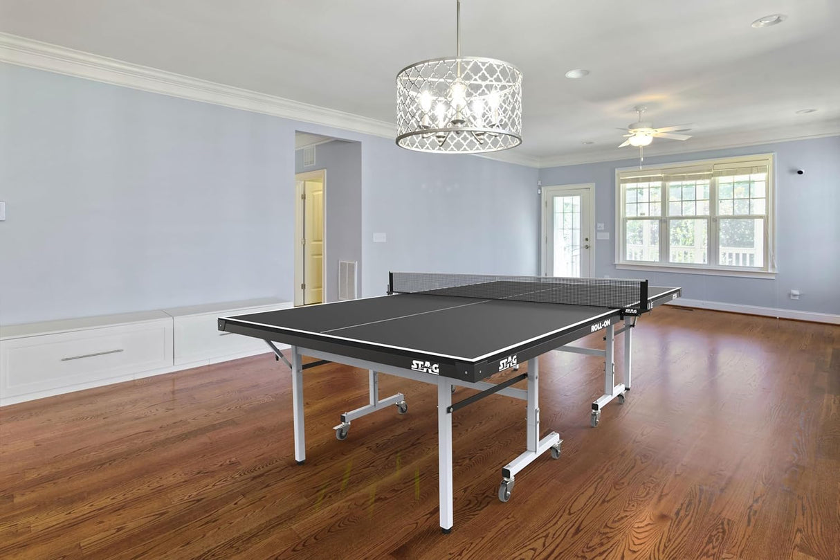 STAG GLOBAL Professional School Line Table Tennis Table | 2 Rackets,6 Balls,Clamp Net, 1 Cover