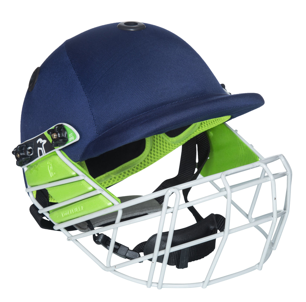 Cricket Helmet Pro 200
