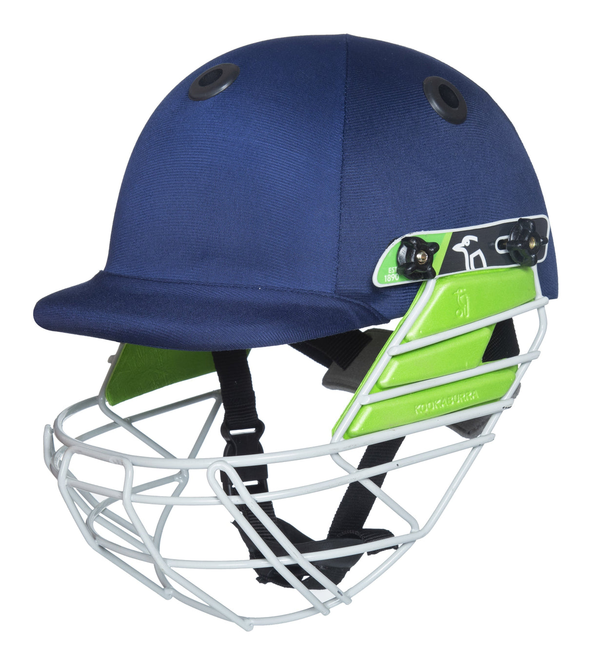 Cricket Helmet Pro 200