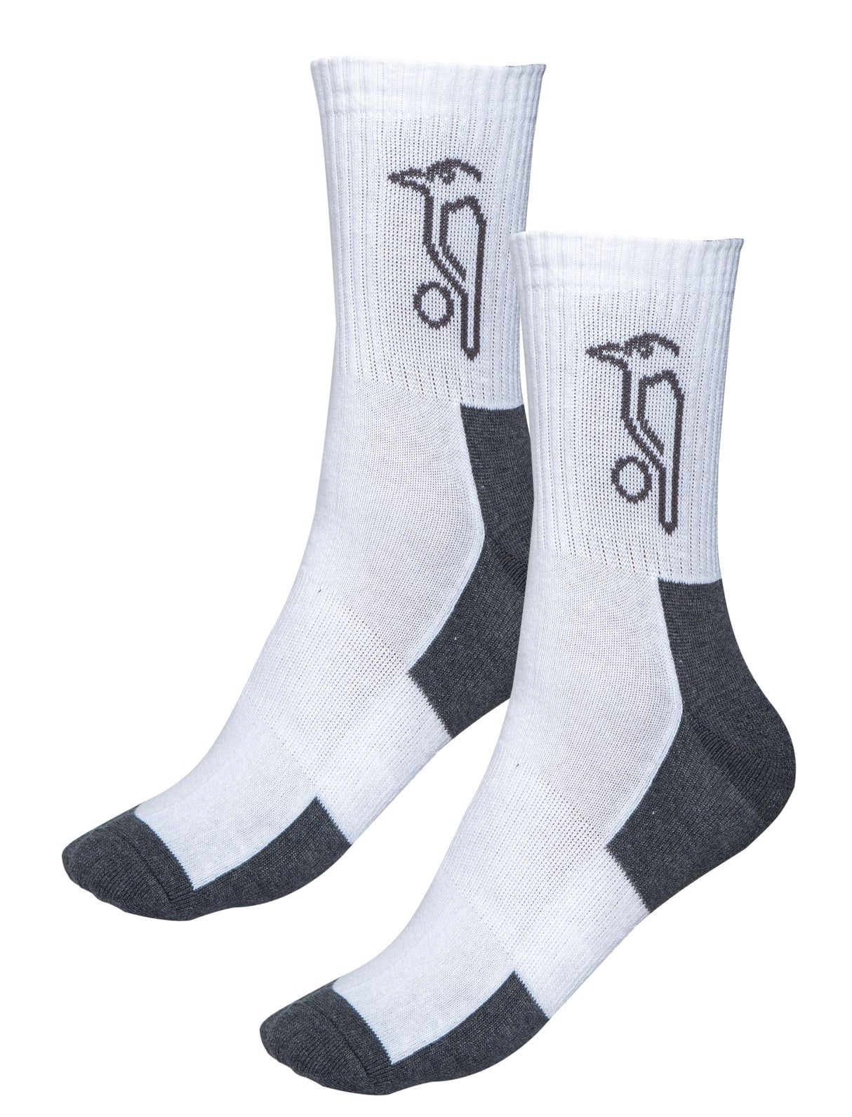 Kahuna Socks (PACK OF 10)