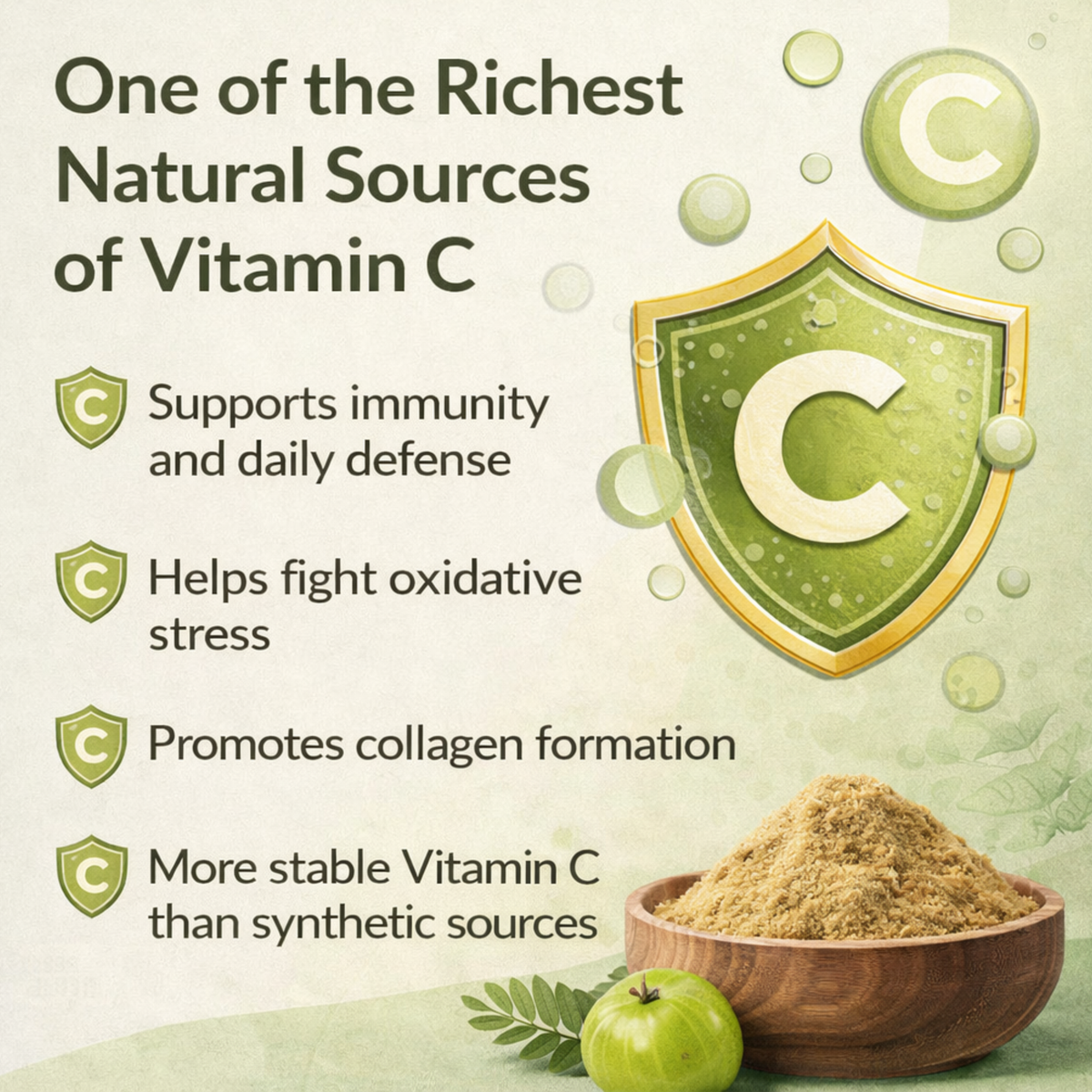 Organic Amla Powder Natural Vitamin C | Hair, Skin & Immunity Support