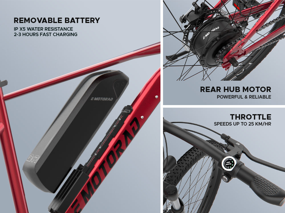 X1 Electric Bike Cherry Red X-Factor Urban Series EMotorad | KIBI SPORTS