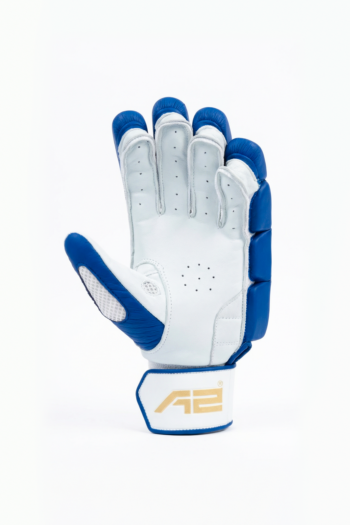 Cricket Batting Gloves - Verve splitx - Blue