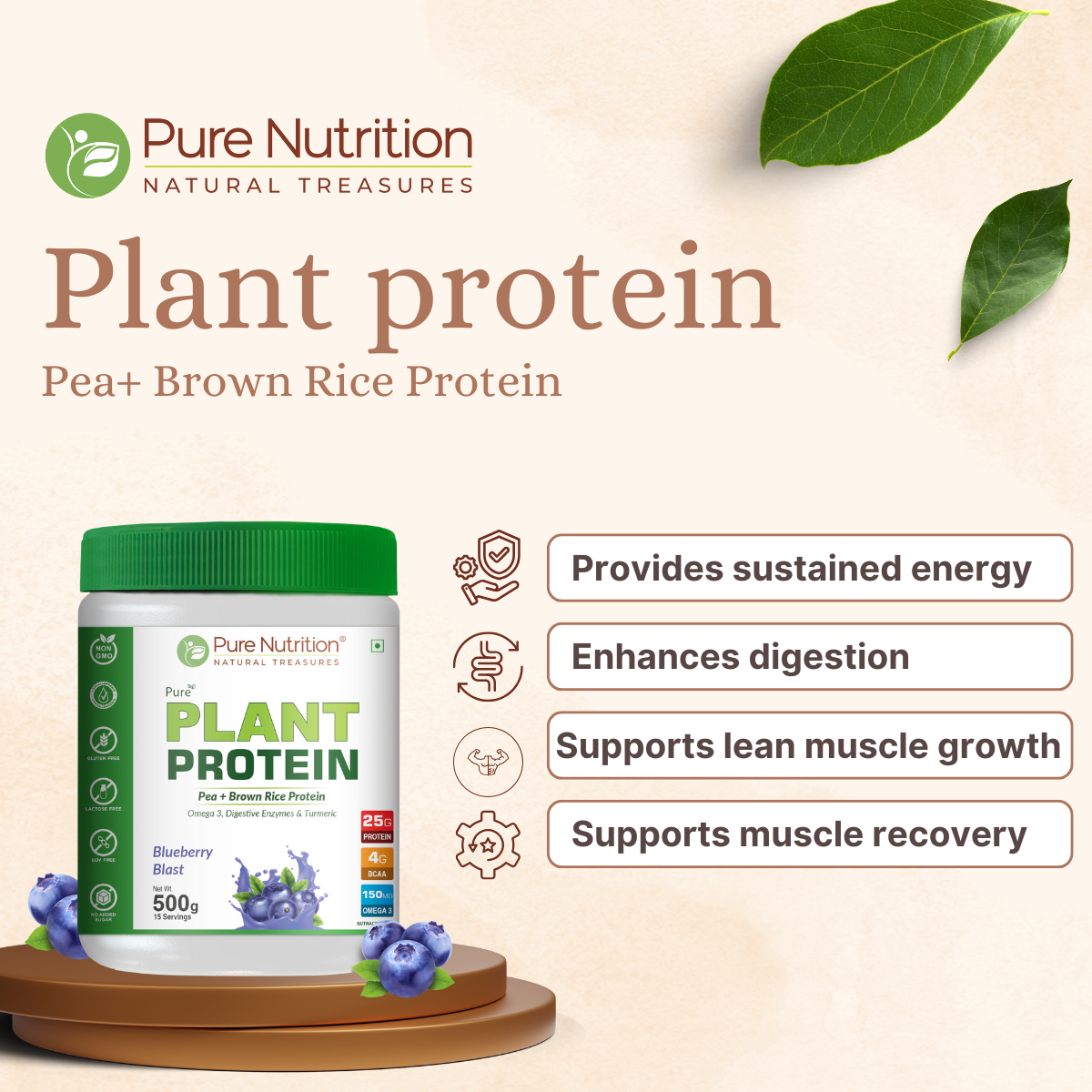 Vegan Protein Blueberry Blast Plant-Based Protein (500g)