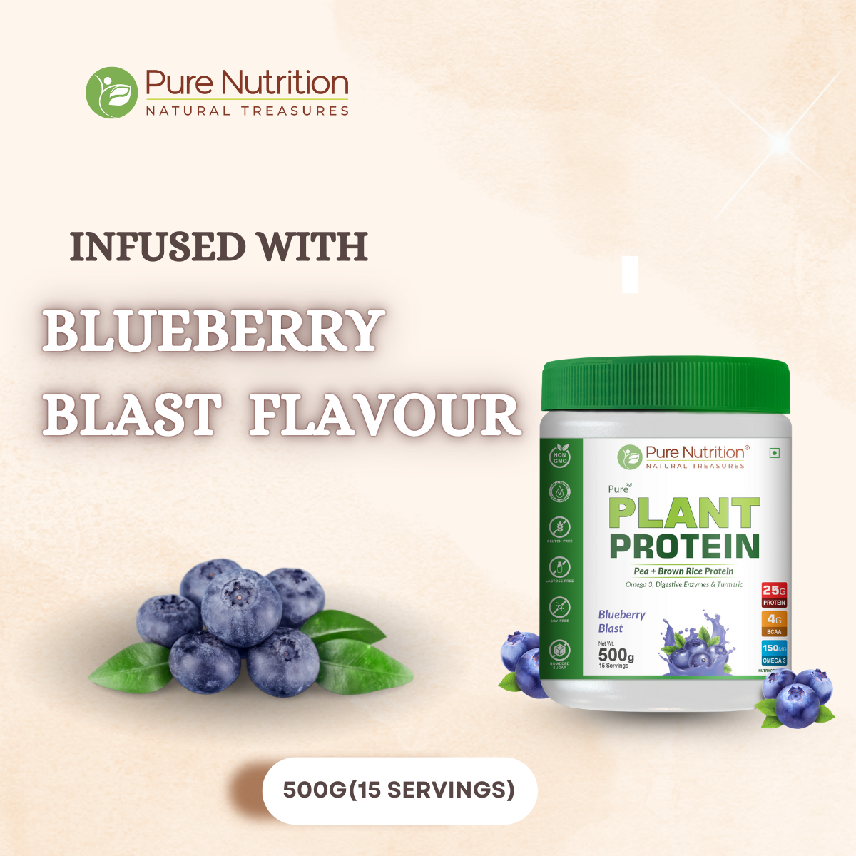 Vegan Protein Blueberry Blast Plant-Based Protein (500g)