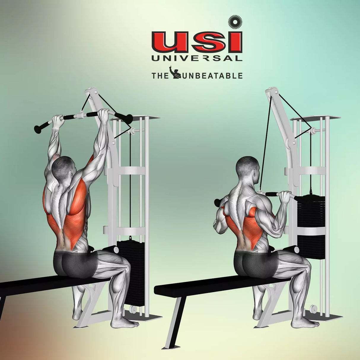 PRO LAT BAR SMALL (CALBS)