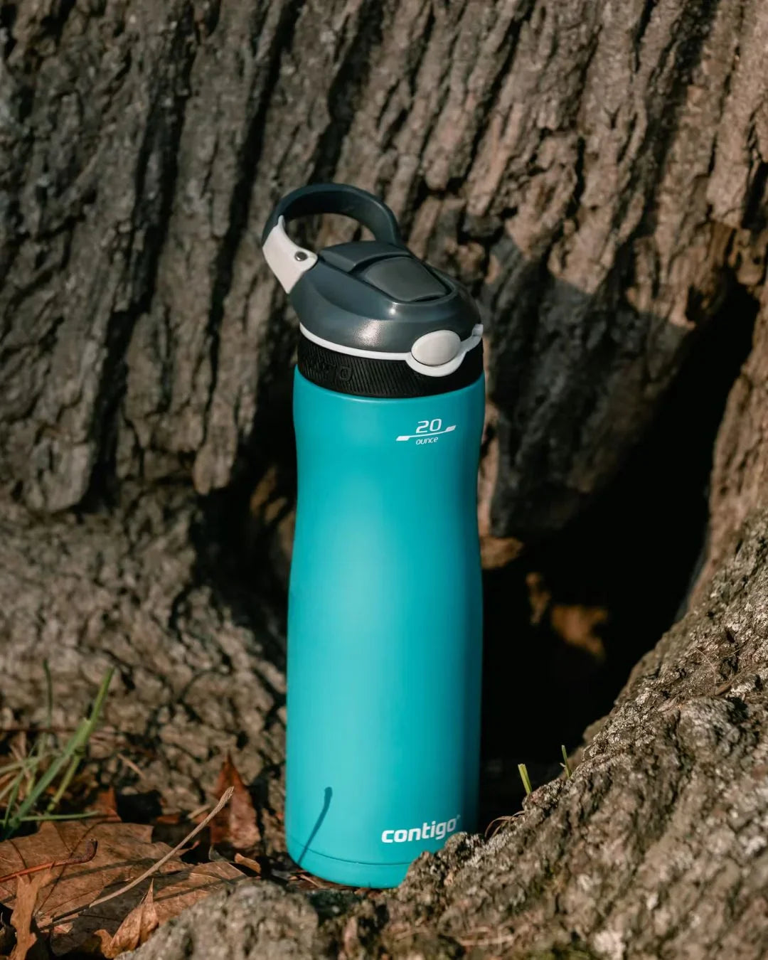 CONTIGO Ashland Chill AUTOSPOUT™ Vacuum-Insulated Water Bottle, 590 ml - Scuba