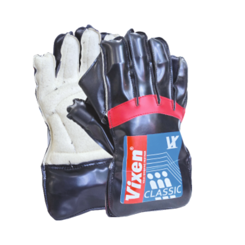 CRICKET WICKET KEEPING GLOVES