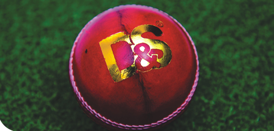 CHERRY Leather Cricket Ball - Image 2 | KIBI SPORTS