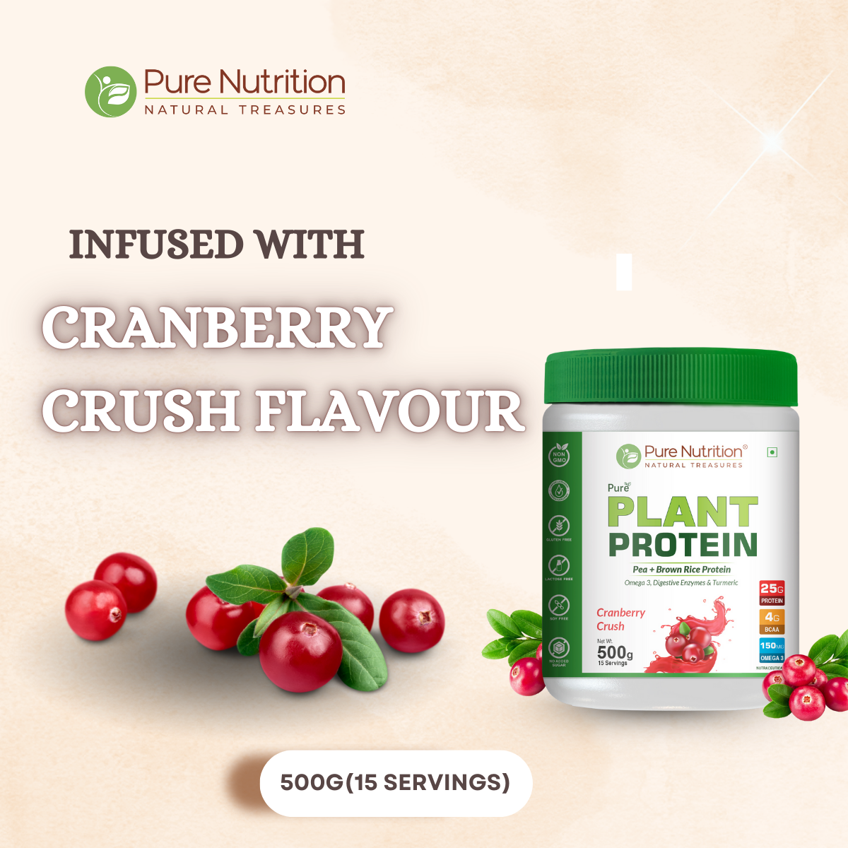 Vegan Protein Cranberry Crush Powder Plant-Based Protein (500g)