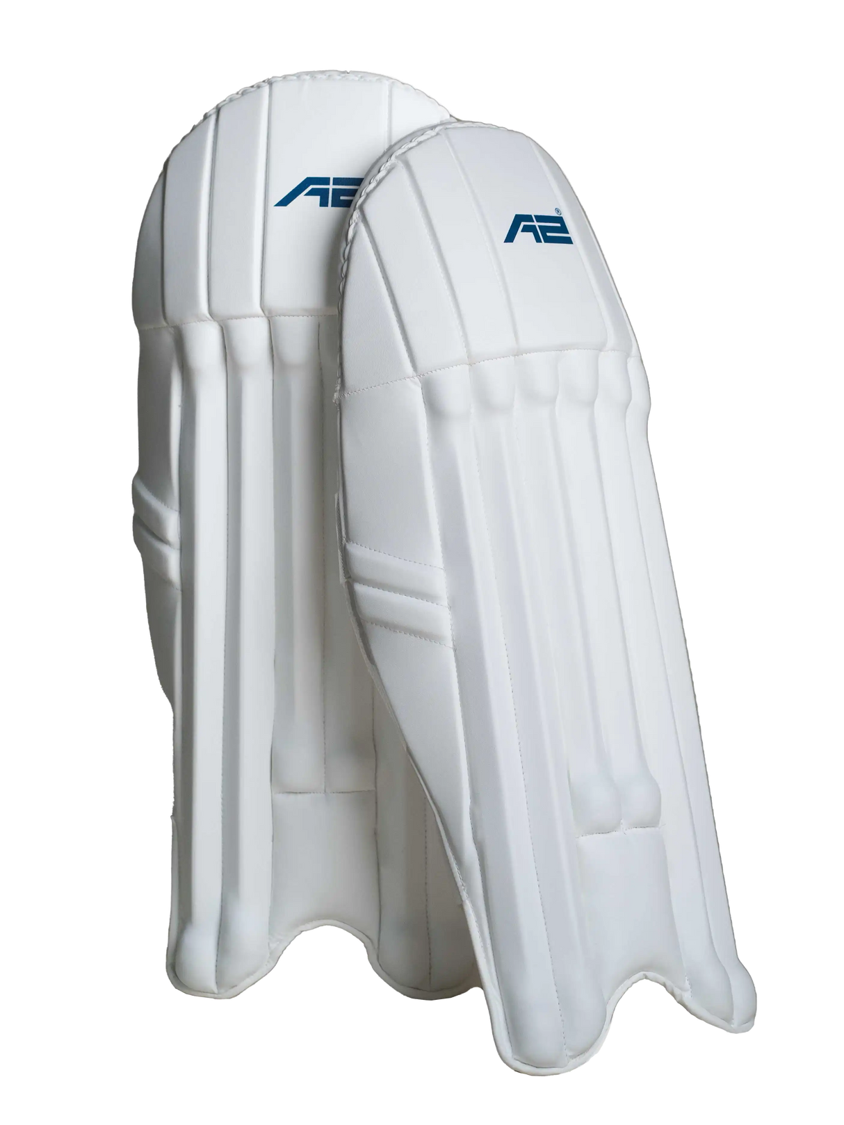 Cricket Keeping Pad