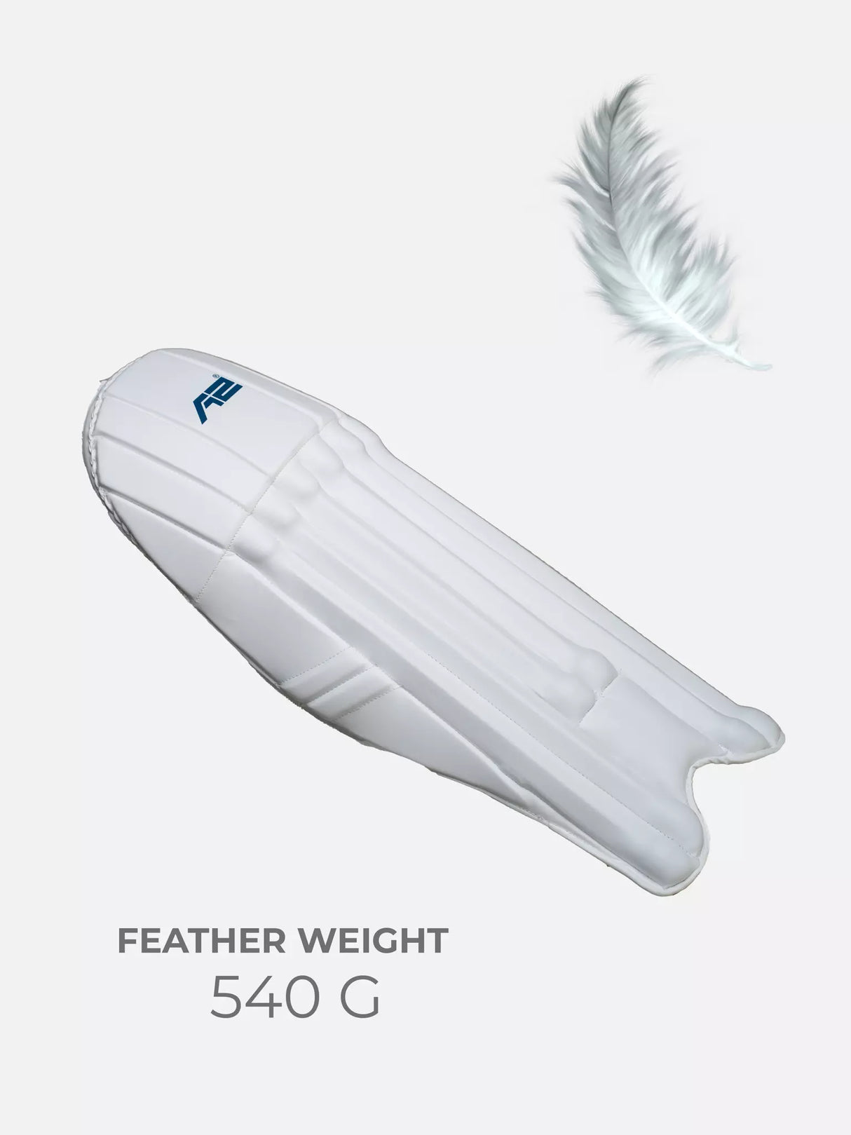 Cricket Keeping Pad