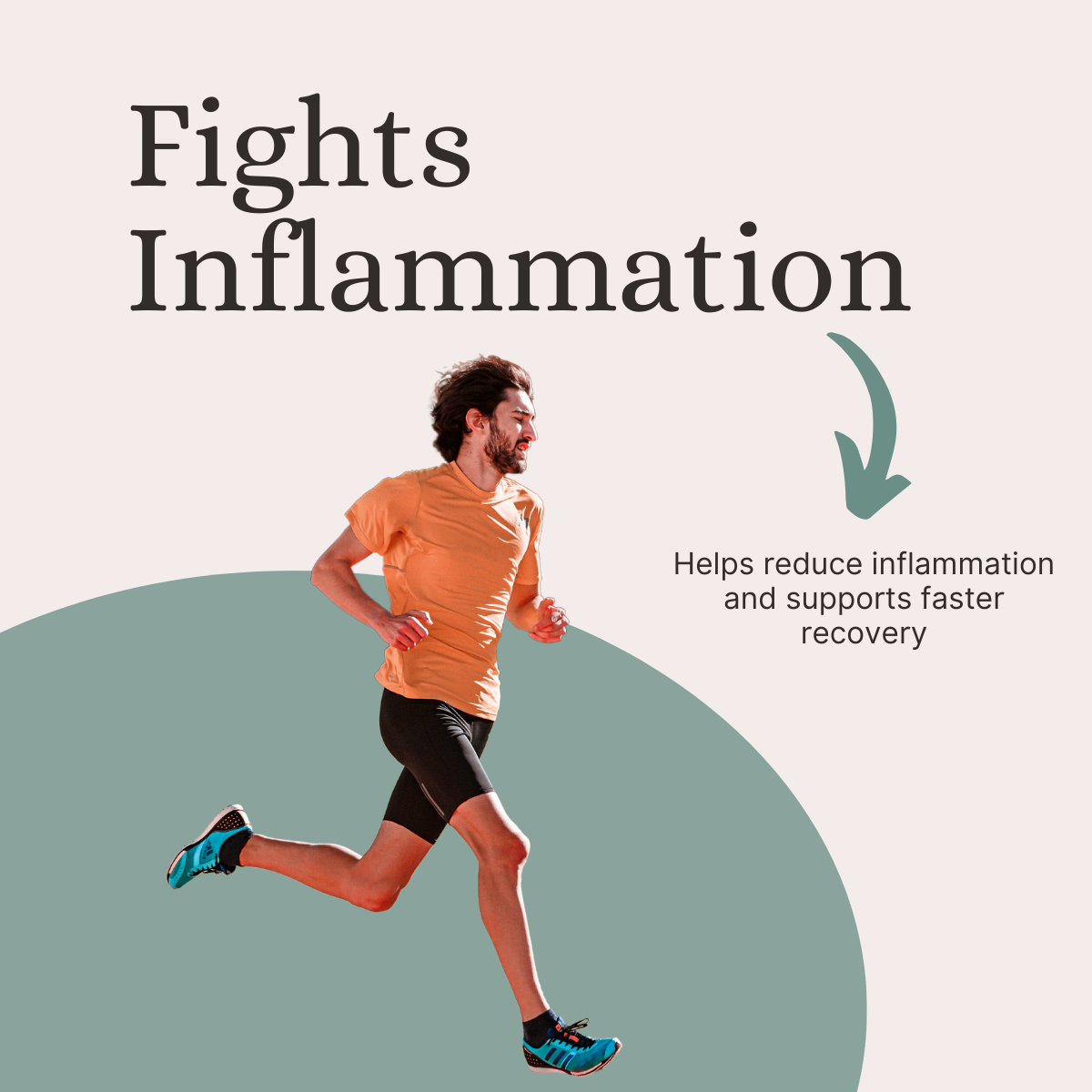 Echinacea Extract Capsules 120 Count | Immune Boost & Antioxidant Support