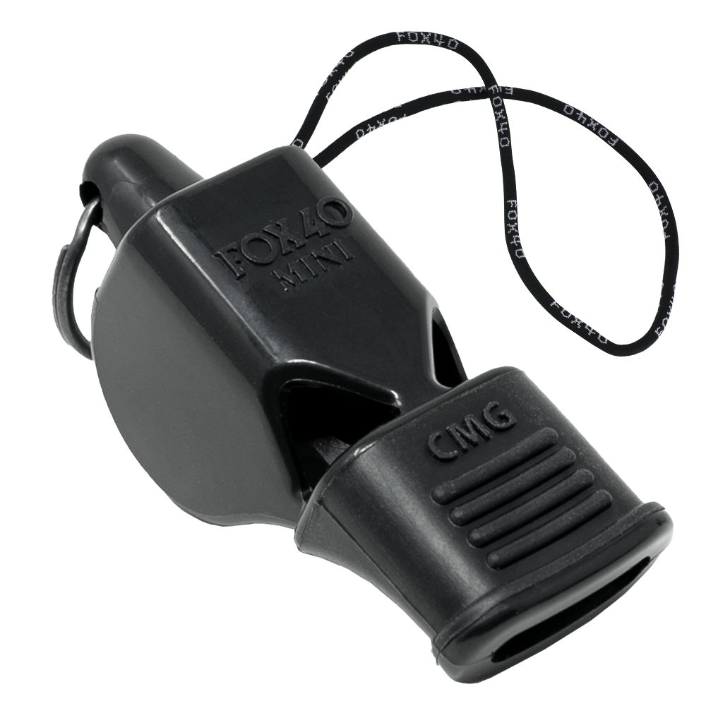 Mini CMG