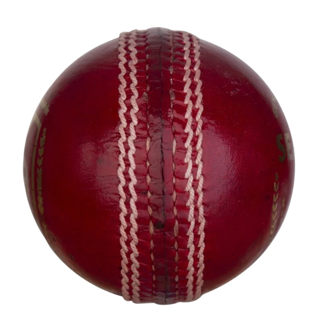 Set of 6 (Cricket Leather Ball)