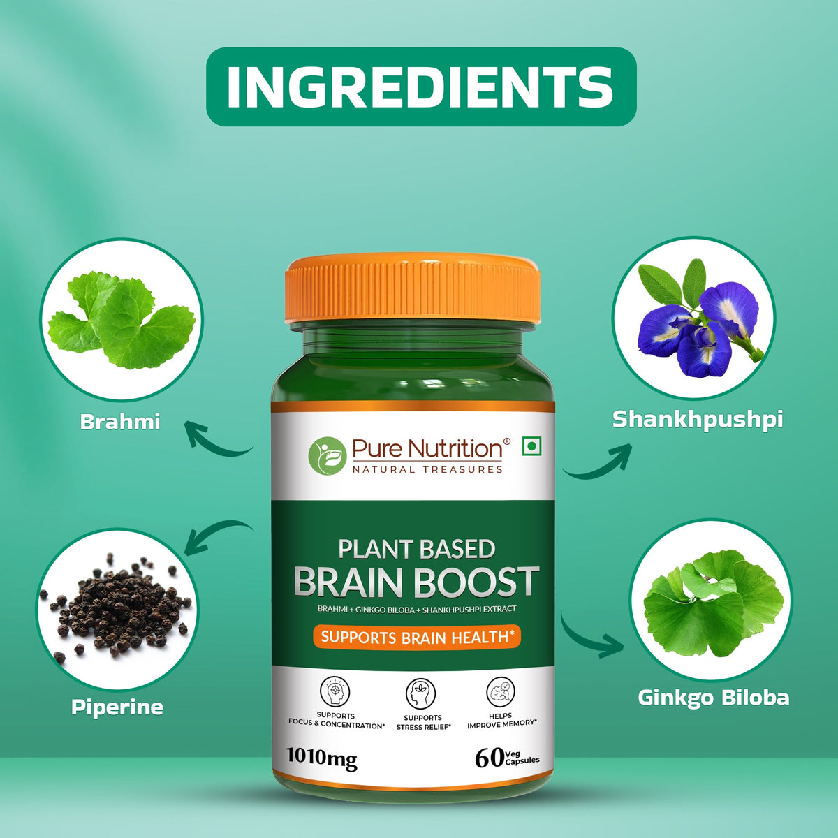 Plant-Based Brain Boost Brahmi, Ginkgo Biloba & Shankhpushpi | Focus & Clarity