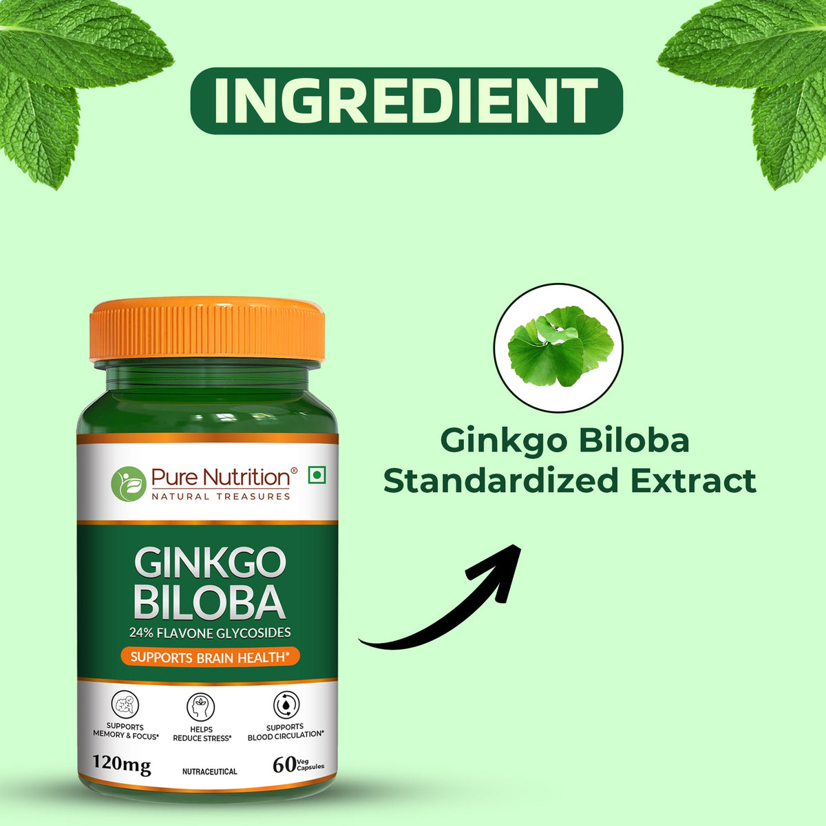 Ginkgo Biloba 120mg Cognitive Wellness, Focus & Circulation Support