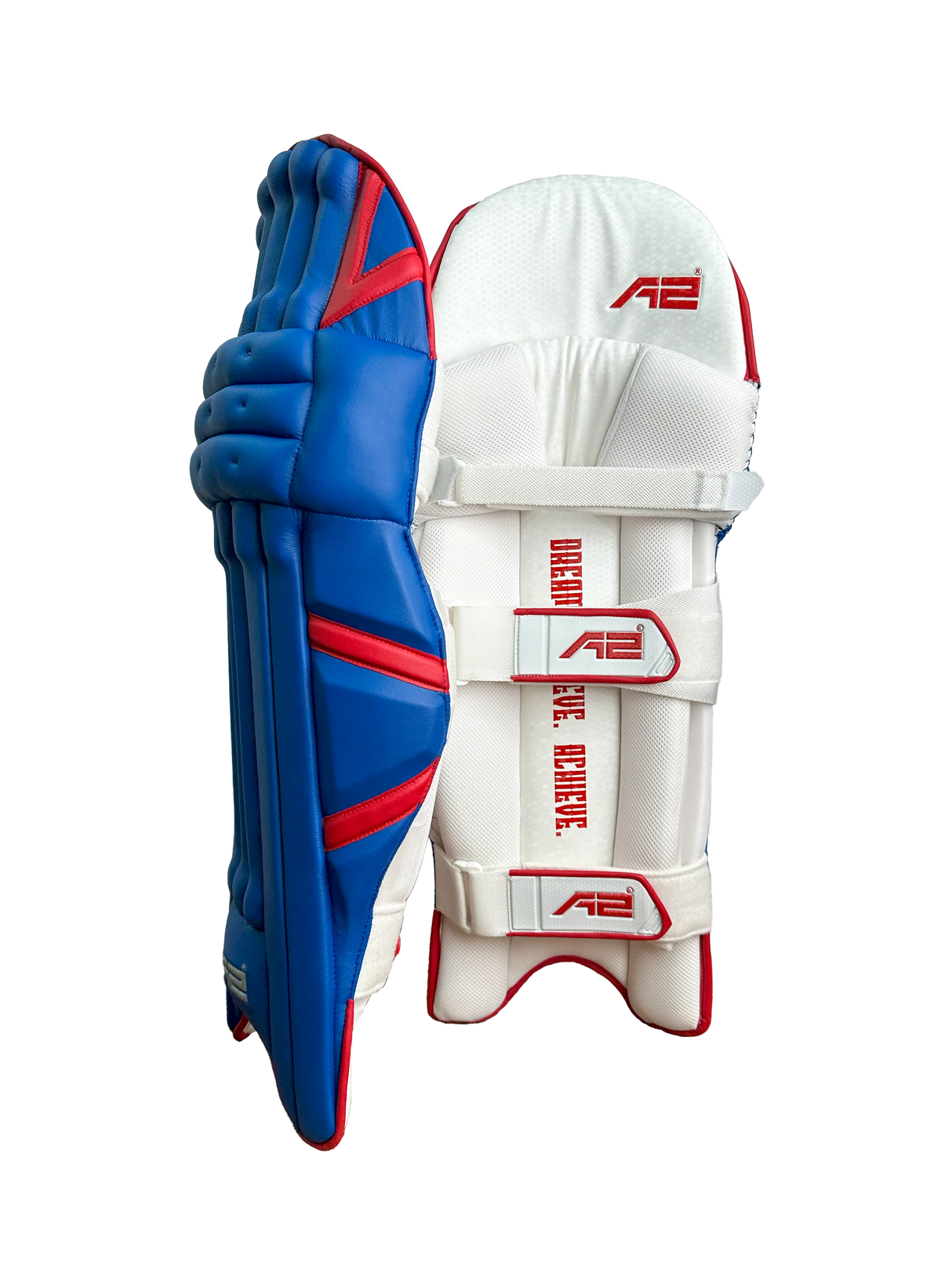 Cricket Batting Pads - Blue & Red