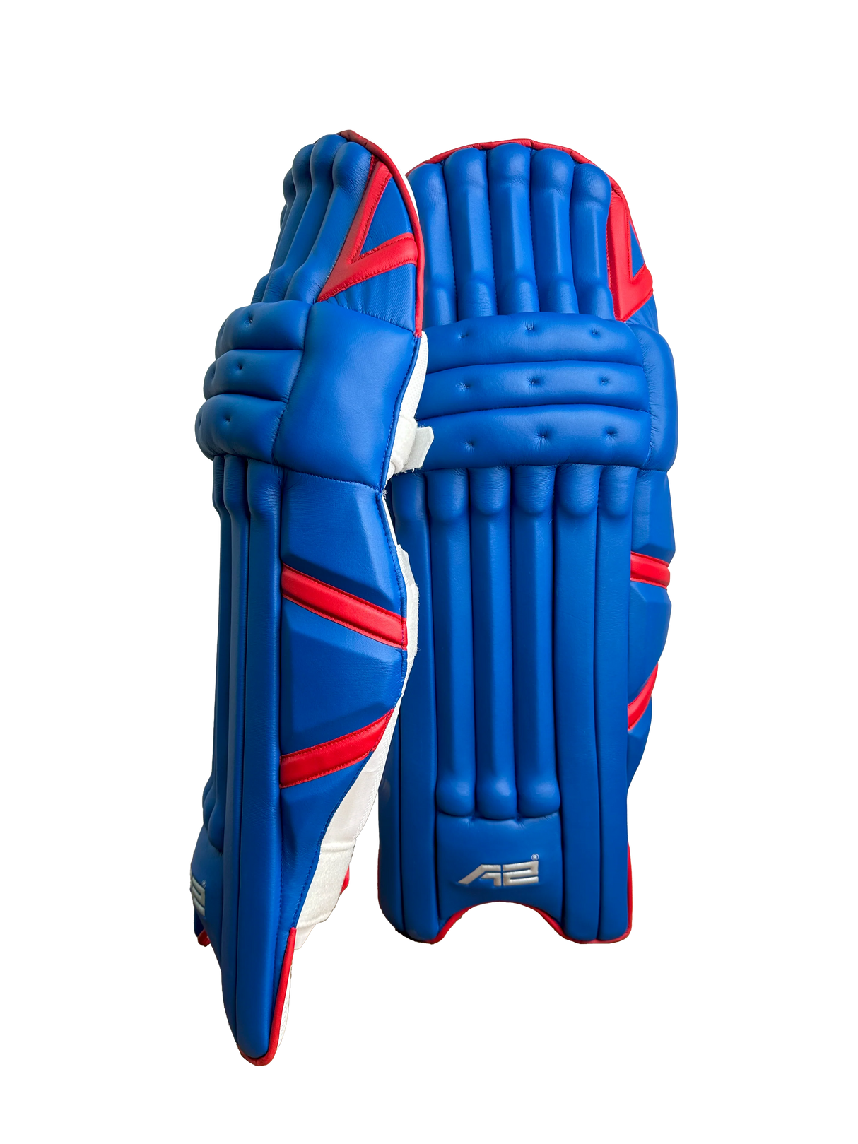 Cricket Batting Pads - Blue & Red