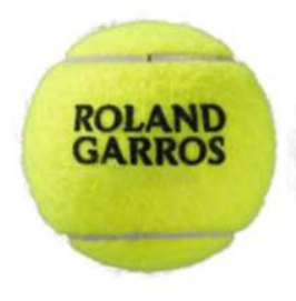 Wilson Roland Garros All Court Tennis Ball