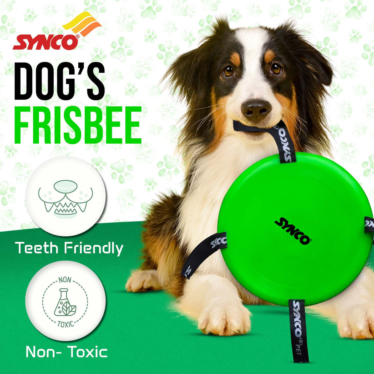 Synco Dog Frisbee with Holding Loops | Dog Toy Frisbee