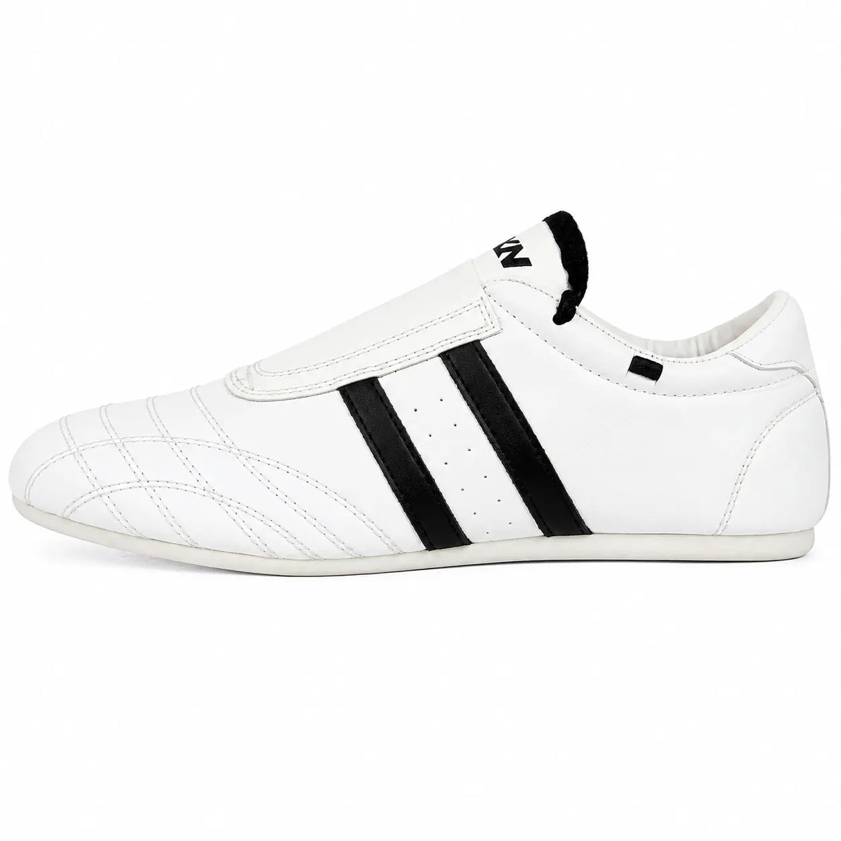 Taekwondo Training Shoes for Athletes (TS-3)