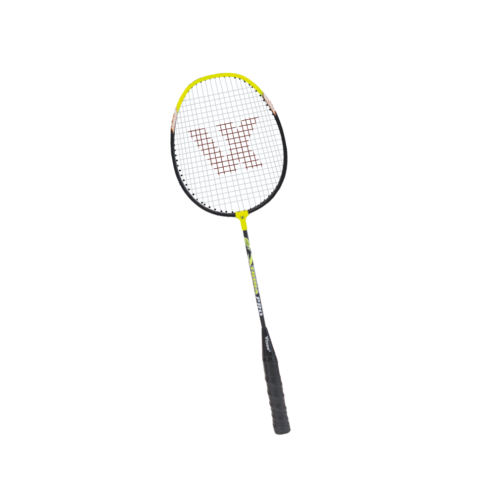 BADMINTON RACKET TERINA WITH COVER