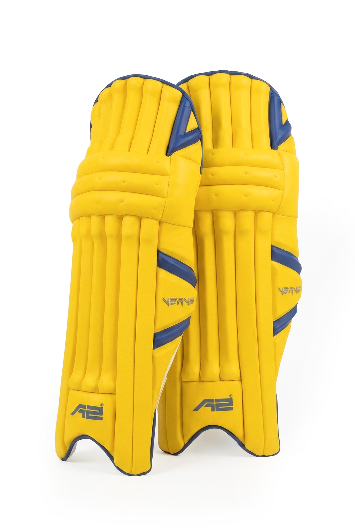 Yellow And Blue Batting Pads