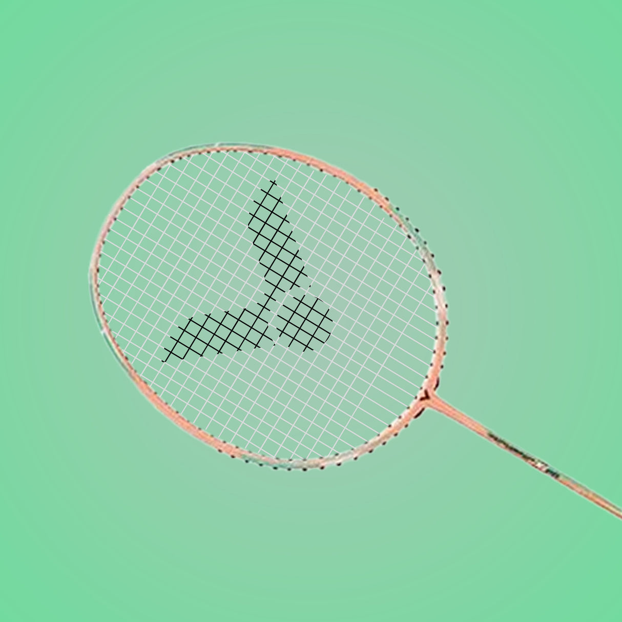 Thruster TK-66 Power Series G6 Strung Badminton Racket