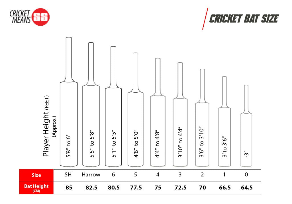SS Master 9000 English Willow Cricket Bat | KIBI SPORTS