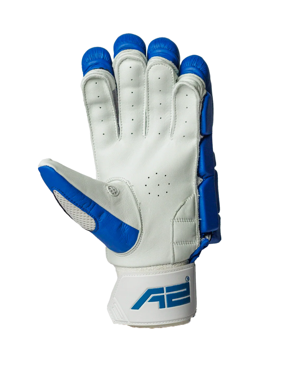 Cricket Batting Gloves - Blue & Red