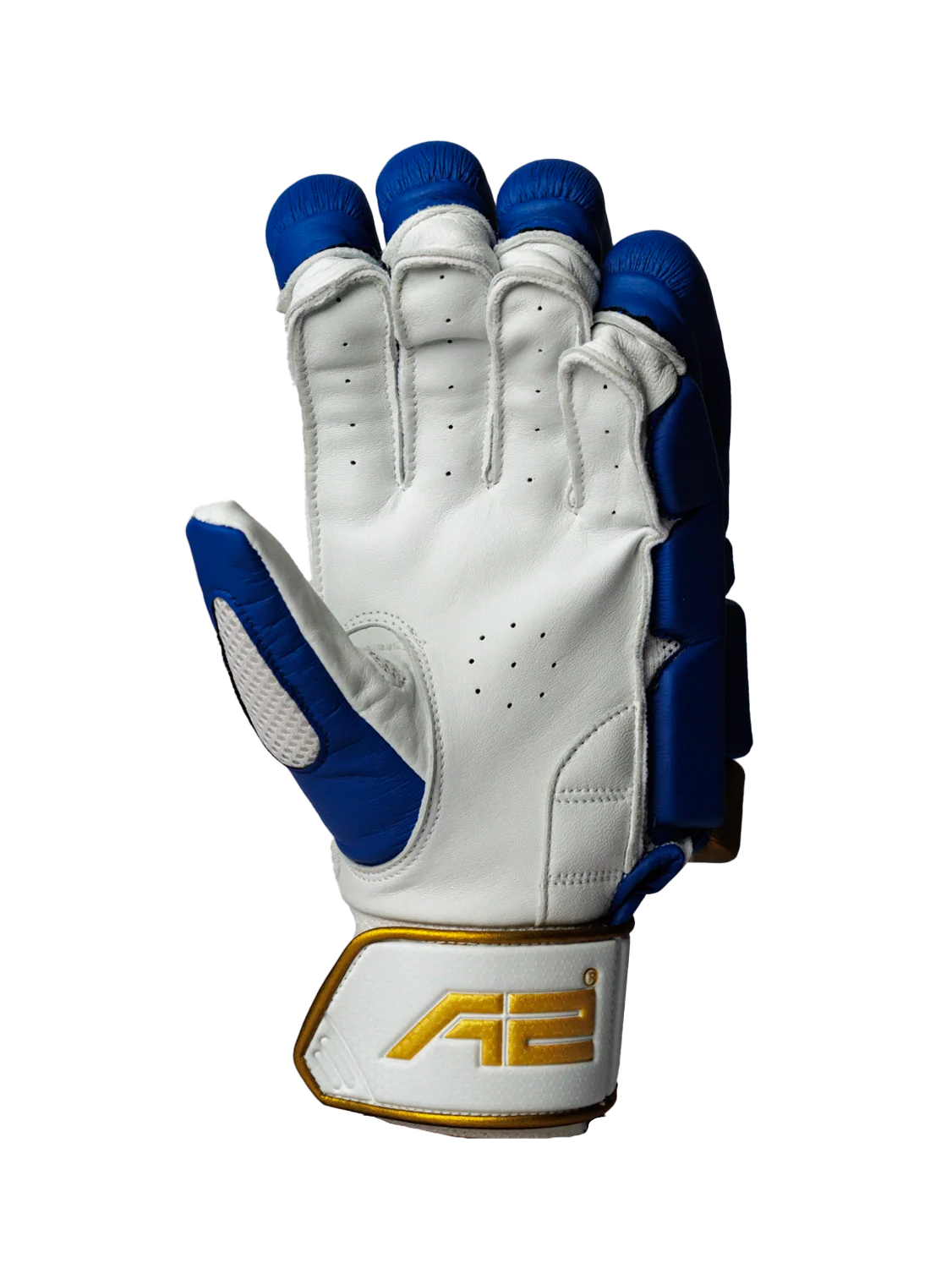 Cricket Batting Gloves - Gold & Blue