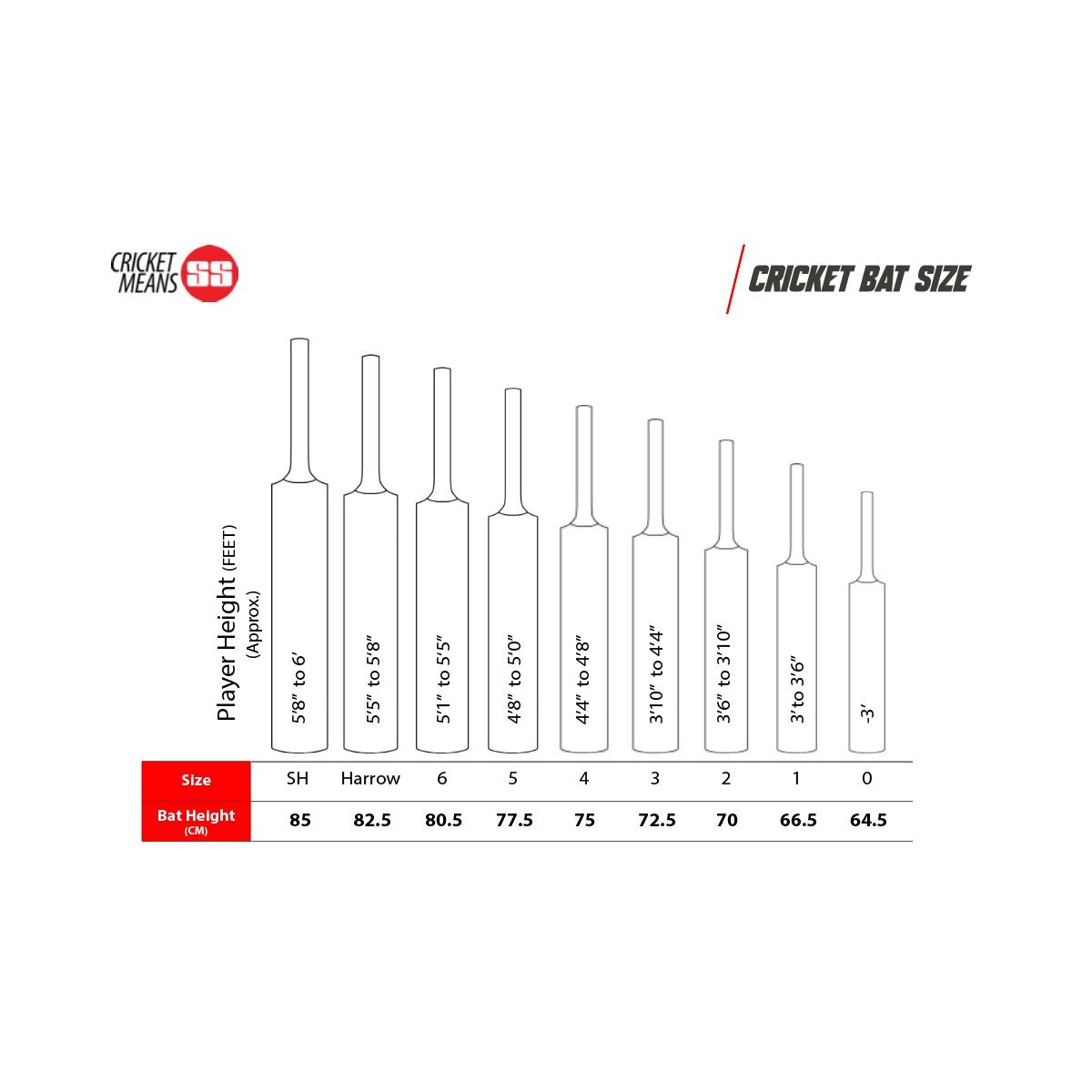 SS Master Junior Kashmir Willow Cricket Bat | KIBI Sports