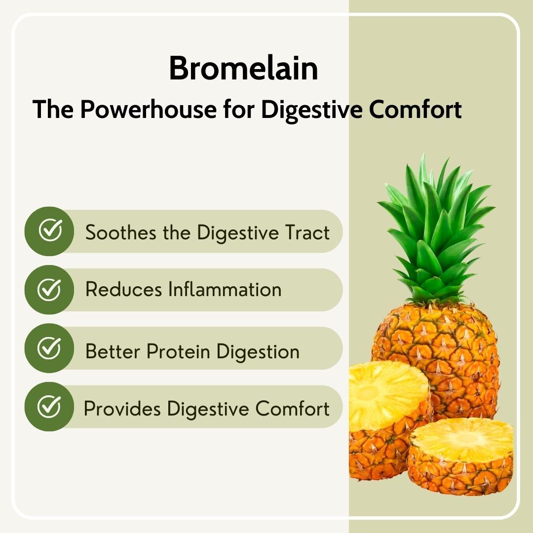 Digestive Enzymes with Bromelain Plant-Based | Probiotics & Herbs | 60 Caps | 120 Caps